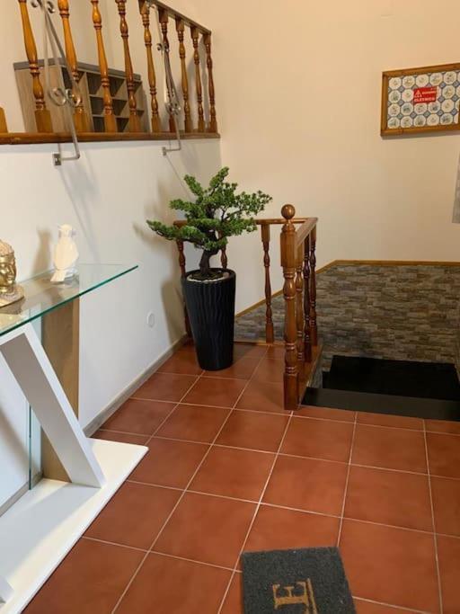 Brisa Da Ribeira Villa Furnas  Kültér fotó